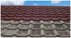 Read more about the article Home Inspection: Specialized Inspection For A Special House