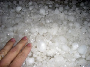 Hail Storm Damage
