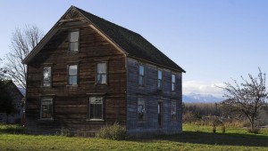 Delapidated House