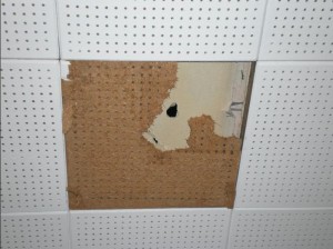 ceiling-tile-asbestos-asbestorama-flickr