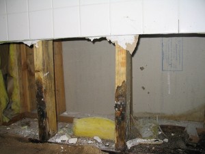 Hidden Mould Inside Walls
