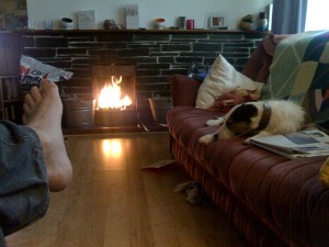 Always Inspect Fireplaces