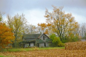 Exterior Inspections