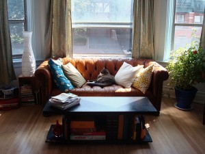 Lounge Room Inspections