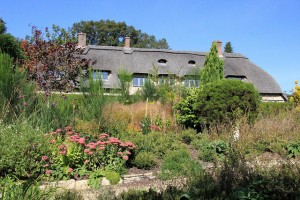 Clearing Up Gardens