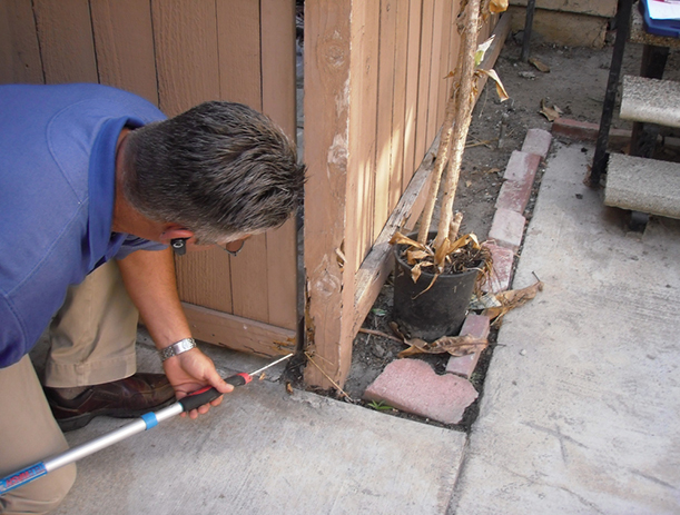 property-inspection-service